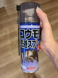 小原正子『悩み☆』