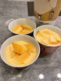 堀ちえみ『パンの耳で作ったパパ手作りプリン』
