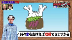 ナスDが明かす“レジ袋で野菜を苗から育てる方法”に井上咲楽が興味津々「すごくないですか!?」