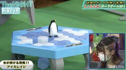 爽快感たっぷり！スピードワゴンがぱいぱいでか美、小島みゆとボードゲーム「アイス レイジ」に挑戦