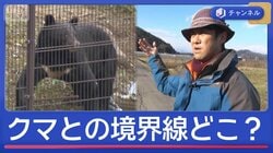 長年研究の専門家が感じた“クマの異変”