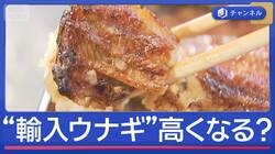 日本の食がピンチ「輸入ウナギ」高くなる？世界巻き込む“規制強化”議論