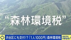 「消費税よりひどい」来年度から“1人1000円” 復興特別税→森林環境税に…使い道は？