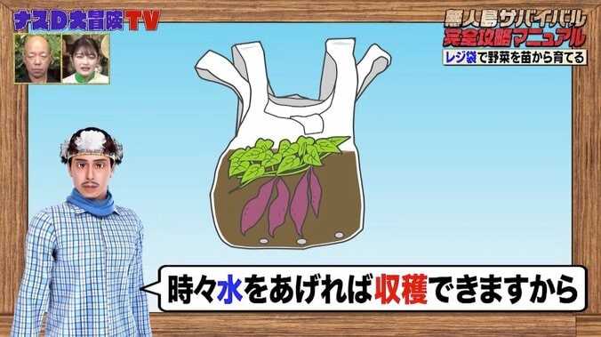 ナスDが明かす“レジ袋で野菜を苗から育てる方法”に井上咲楽が興味津々「すごくないですか!?」 1枚目