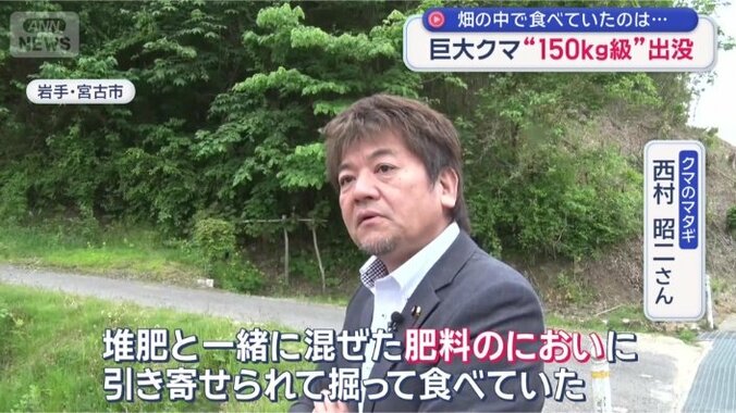 「クマは人間の嗅覚の5000倍」