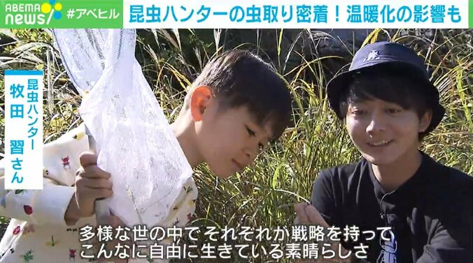 東大院生の昆虫ハンター「家族はむしろ虫嫌い」 子どもの“夢中になる力”を伸ばすには 1枚目