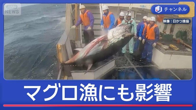 続く原油高騰…「遠洋マグロ漁」にも影響が 1枚目