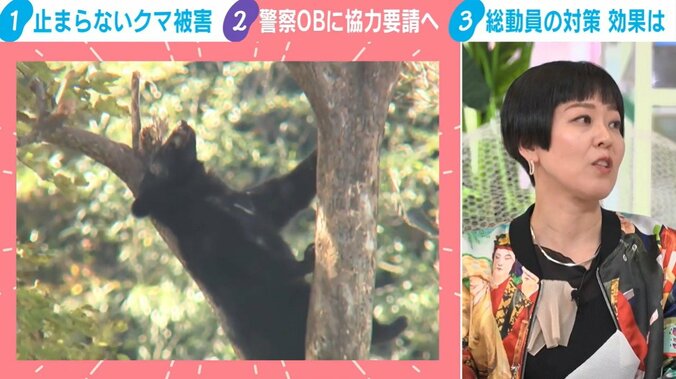 木に登ってくつろぐクマ