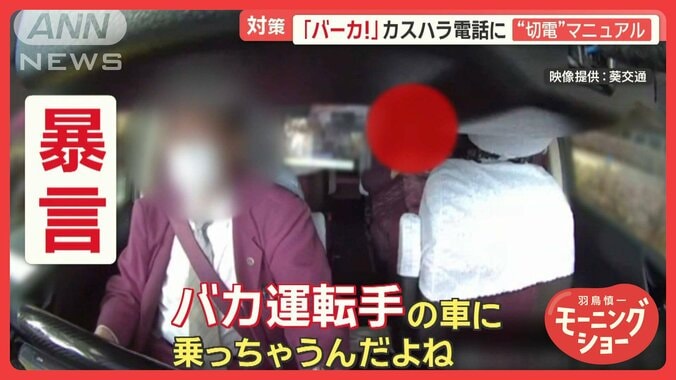 「バカ運転手」暴言に自作自演も　悪質カスハラ防止条例案　制裁措置で氏名公表も 1枚目