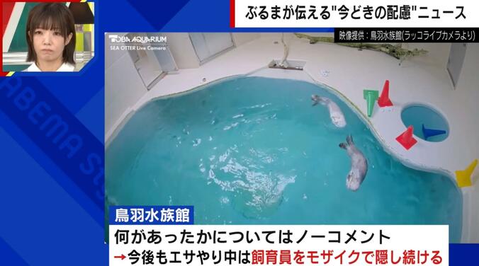 ラッコのライブ配信