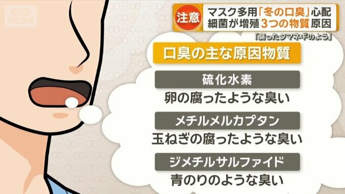 口臭の原因となる3つの物質