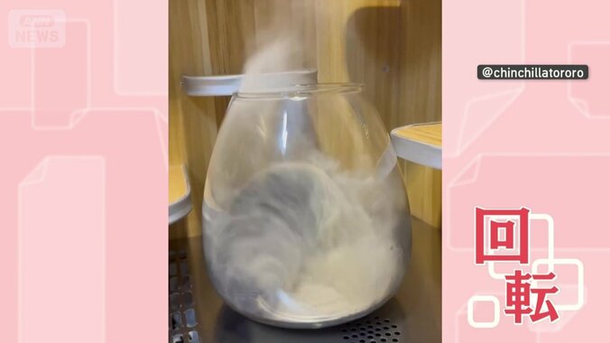 砂に入ると…激しく回転！