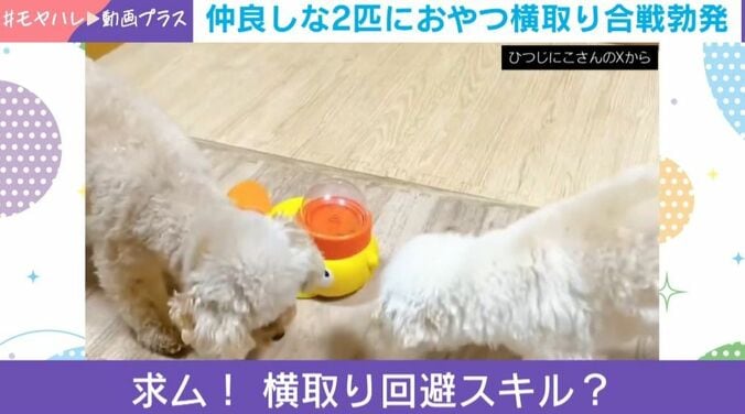 うたちゃんとにこちゃん