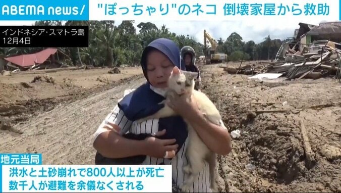 1週間閉じ込められ、痩せてしまった「エンブル」