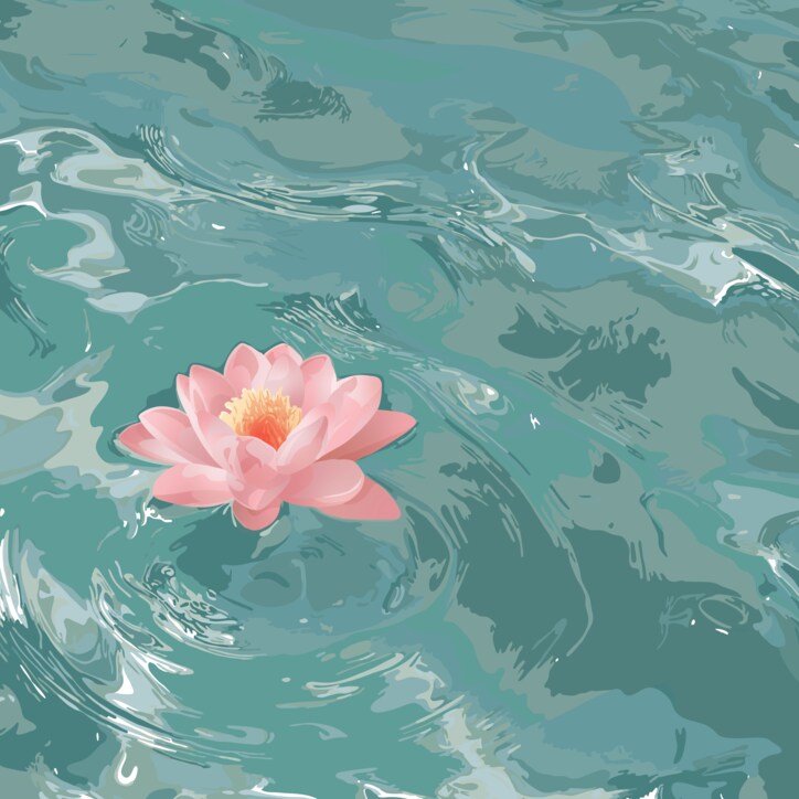 【写真・画像】　1枚目