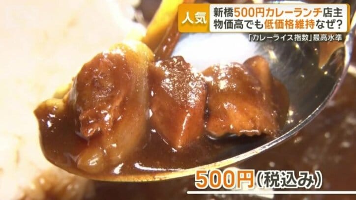 鶏肉や野菜がふんだんに使われた欧風カレー