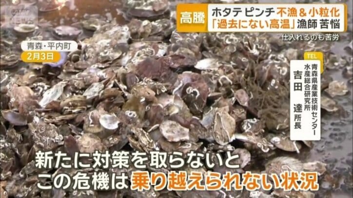 「新たな技術の開発を進めている」