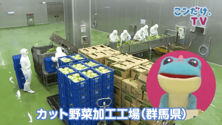 カット野菜は洗わずに食べて大丈夫? ローソン野菜の秘密