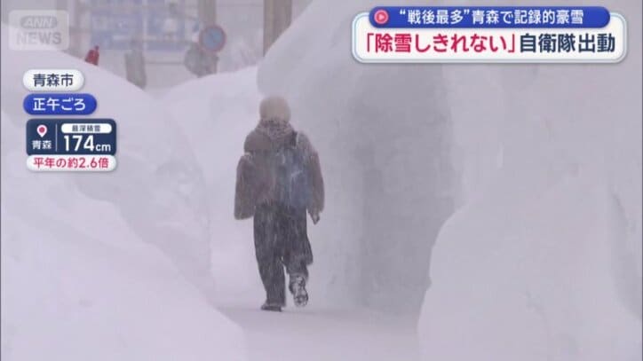 雪が積もって歩道がなくなっている