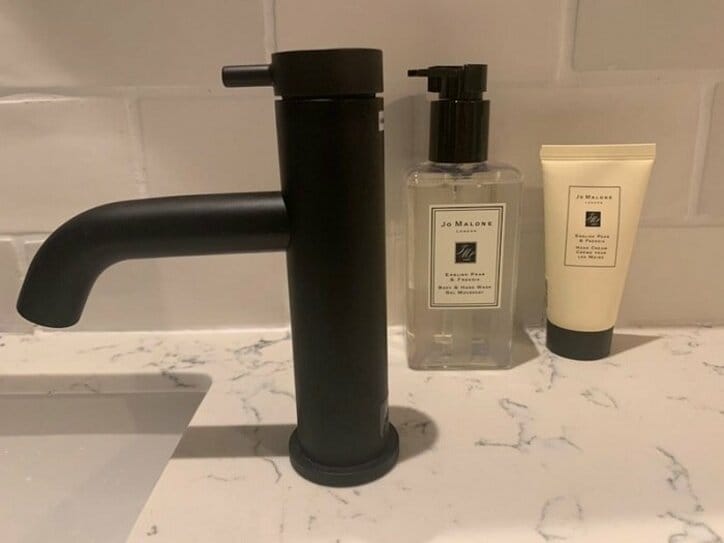 あいのり・桃、トイレがレベルアップする引っ越し祝いに感激「置いてあるだけで」