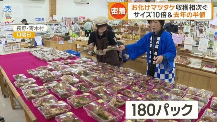 特設コーナー