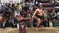 「目立ちすぎます」大相撲で突如、向正面を横切るタレントの姿にファン驚き
