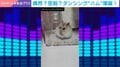 “体カキカキ”で偶然の珍事…ハムスターが“回転ダンス”で視聴者魅了「一瞬カメラ目線なのが好き」「めちゃくちゃ笑いました」の声