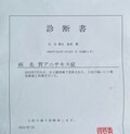  薬丸裕英、腹痛で病欠し検査を受けた結果「アニサキス…激痛です」 