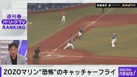 【映像】問題のキャッチャーフライ(解説付き)