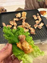 杉浦太陽『サムギョプサル！』