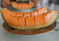 才賀紀左衛門『夏バテ』