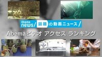 話題の動画ニュース - 「話題の動画ニュース」のAbemaビデオ アクセスランキング(9/3~9/7 配信分集計) | 動画視聴はAbemaビデオ(AbemaTV)