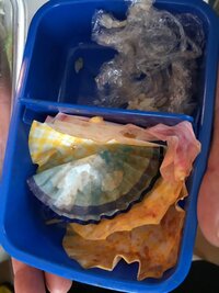 スギちゃん『めちゃくちゃ嬉しい日だぜぇ』