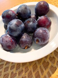 小川菜摘『プルーン』