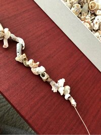 市川海老蔵『麗禾しみじみ』