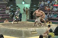 【映像】実際の取組の様子