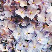 理絵『#偏頭痛の悩み』