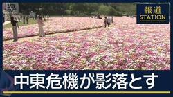 ユリの花畑“14分の1”に縮小　祭りの屋台にも…GWに中東危機の“影”