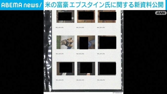 公開された黒塗りの資料