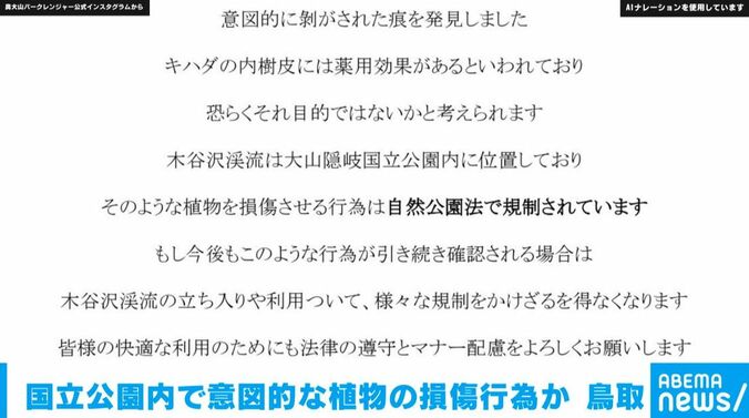 木谷沢渓流にて発生した意図的な植物の損傷行為について