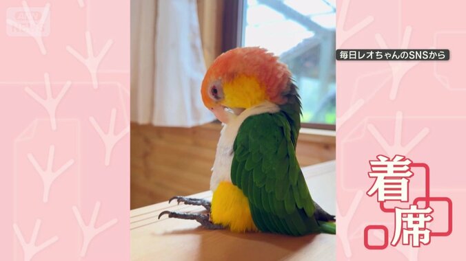 おしりをつけて着席