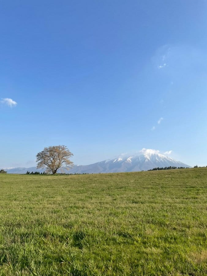 天津・木村、家族の岩手県への移住が決定したことを報告「いっぱい楽しいこと見つけます」 1枚目