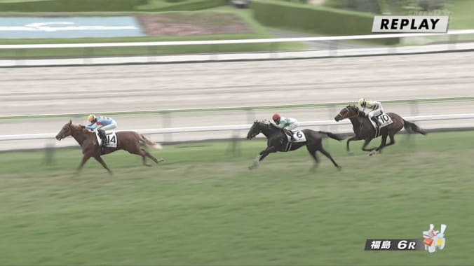 “しっぽ”に注目！ 希少かつ美しい注目ホース