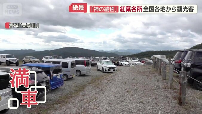 駐車場は早朝から満車に