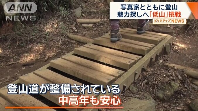 登山道は整備されている