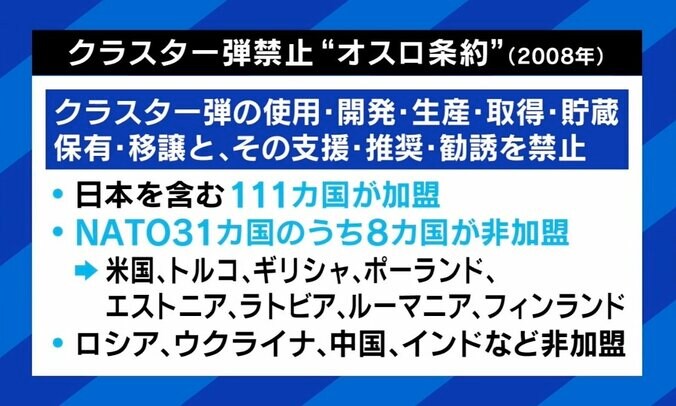 「本当にクラスター弾がないとどうにもならないのか」ロシア軍を押し返すために必要？ 米がウクライナ軍に供与 5枚目