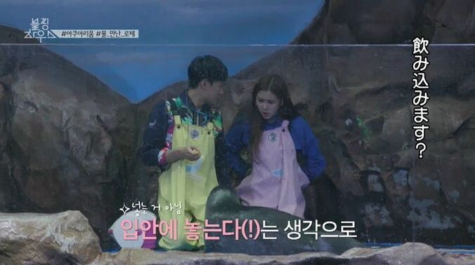 BLACKPINK、コンビニ夜食を爆買い！日本ツアーの裏でカップ麺やお菓子などを堪能 14枚目