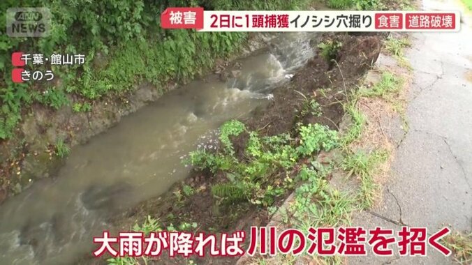 大雨が降れば川の氾濫を招く恐れ