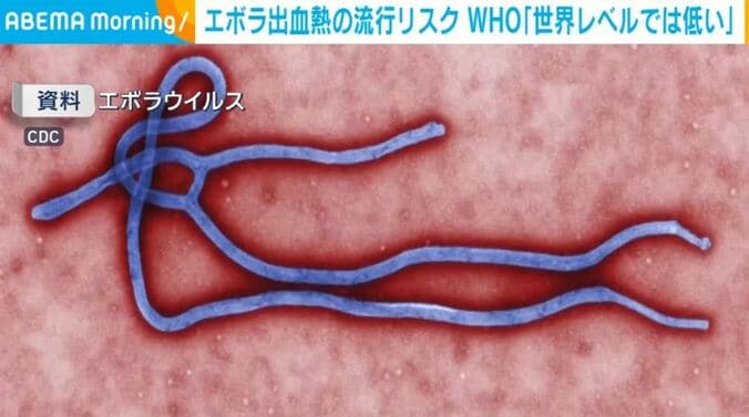 エボラウイルス