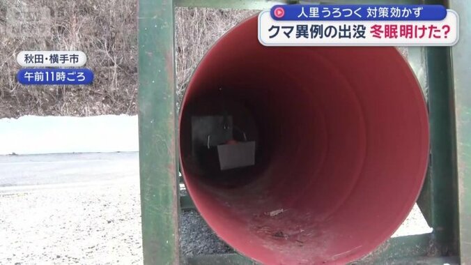 ワナを設置したが捕獲に至らず